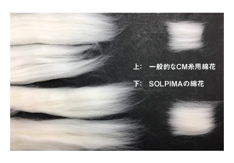 超長綿（Extra Long Staple Cotton）